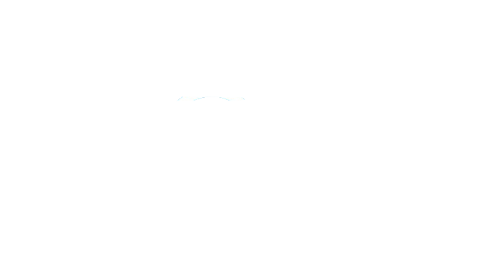 logo Molo21